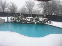 Freeform-pool-in-snow