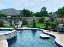 Freeform-pool-with-cocktail-table