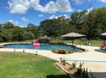 Freeform-pool-with-grotto-and-pink-flamingo