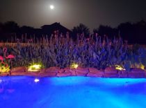 LED-Pool-Lights